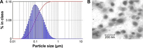 Figure 1 Characterization of myricetin-loaded mixed micelles (MYR-MCs). (A) The size distribution of MYR-MCs and the average diameter of the micelles. (B) Transmission electron microscopic photograph of MYR-MCs.