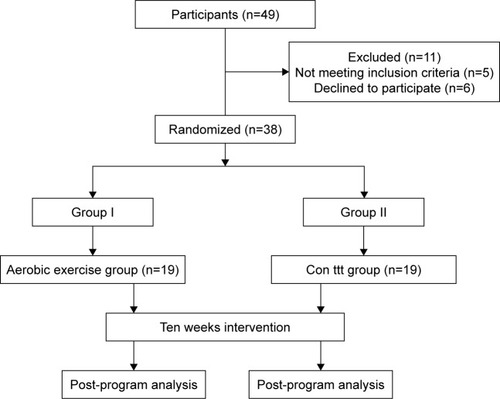 Figure 1 Flow diagram showing participants in the study.