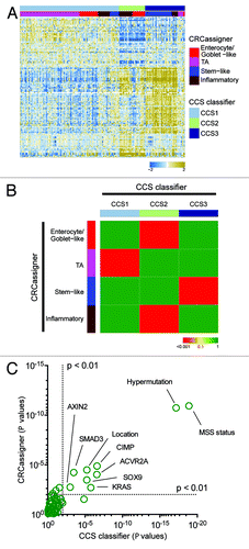 Figure 3. Validation in the TCGA data set. (A) Heatmap depicts the TCGA data set classified by both taxonomies. Columns represent patients; rows indicate genes from the CCS classifier. Colors represent relative gene expression levels; blue signifies low expression, and brown, high expression. (B) Heatmap indicates association of CRCassigner subtype samples (left) with CCS group samples (top) for the TCGA set. Colors indicate significance of association; green signifies a low association, and red a high association. P values are determined using hypergeometric tests. (C) Graph depicts the association of clinical and (epi)genetic characteristics with both classification methods for the TCGA data set. Features that are significantly associated with both classification schemes are indicated. P values are determined using Chi-square tests.