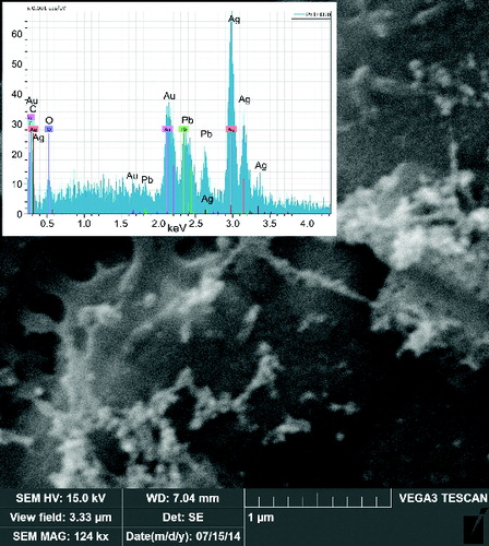 FIG. 8. SEM image and EDS spectrum of the sample of NPs synthesized by oxidation of PbTHD2 at TR = 480°C, QR = 1400 cm3/min, PPbTHD2 = 2.20 Pa, and cO = 5 vol. %.