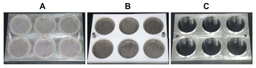 Figure 5 Instruments used in microneedle-patch drying: (A) stainless plate with six drying units; (B) Teflon board (press 1) over the drying plate; (C) press 2 made of stainless steel with enough weight to fix microneedle patch.