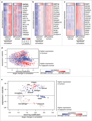 Figure 4. Gene expression network rewiring in ER-positive tumors (a-c) Heat maps of standardized gene expression for genes significantly differentially correlated with (a) GATA3 (b) KRT14 and (c) FGF7 in matched adjacent normal and ER-positive tumors, sorted by GATA3, KRT14, and FGF7 expression respectively. The condition where the target gene was significantly correlated with the other genes in each plot is indicated (all P < 1 × 10−17). Correlation measurements are listed in Table S5. (d-e) Scatter plot of Rewiring Coefficient (RC) analysis of gene expression in adjacent normal compared with matched ER-positive tumors, with RC for each gene plotted on the X axis and the t statistic for difference in means plotted on the Y axis. Genes with significant differential correlation (P < 0.05 after Holm's correction) plotted as round points; non-significant genes plotted as open triangles. Point color indicates whether correlation was stronger in tumors (darker red) or adjacent normal tissue (darker blue). (e) RC analysis using plotted using data from (d), showing representative pathway members listed in Table S6.