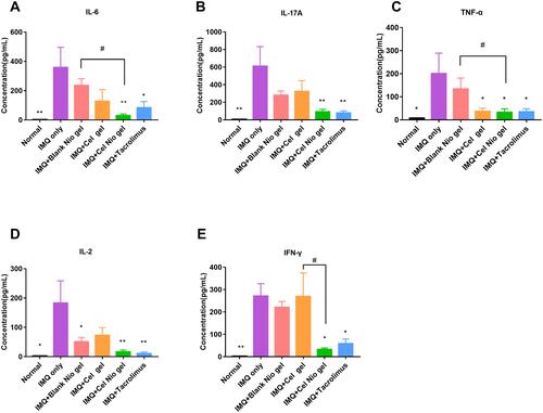 Figure 3 Inflammatory cytokine levels in the serum of mice after treatment of IMQ and different formulations. (A) IL-6; (B) IL-17A; (C) TNF-α; (D) IL-2; (E) IFN-γ. *p <0.05 **p<0.01, compared with IMQ only group; #p<0.05, compared with Cel Nio group. Values are shown as mean and SE (n=6).