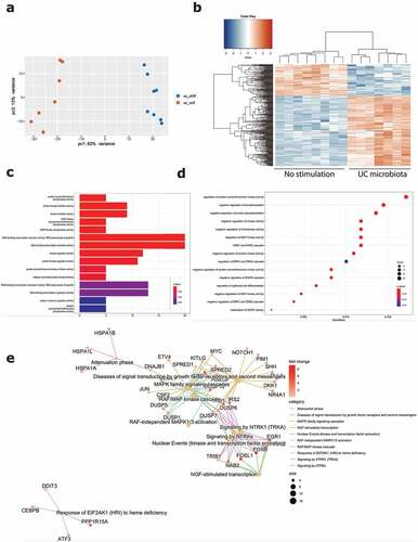 Figure 3. Effect of UC microbiota on inflamed UC epithelial cells. (a) PCA displaying separate clustering between inflamed UC epithelial cells without and with exposure to UC microbiota. (b) Heatmap showing significant differentially expressed up- and downregulated genes (FDR ≤ 0.01 and absolute log2 fold change ≥2) between inflamed UC epithelial cells without and with UC microbiota exposure. (c-e) Functional enrichment analysis showing significant upregulated pathways between inflamed UC epithelial cells without and with exposure to UC microbiota by (c) Gene ontology molecular functions top 15 (d) Gene ontology biological processes top 15 (e) Reactome analysis. Labels are as following: tissue_exposure; CTRL: control; IF, inflammation; UC: ulcerative colitis.