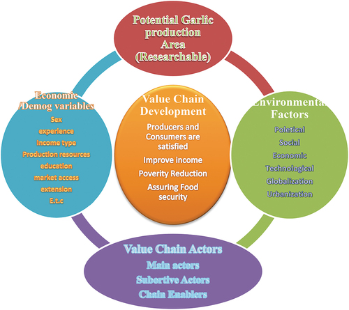 Figure 2. Conceptual framework of Garlic value chain.Source: Own sketch/conceptualization 2021.