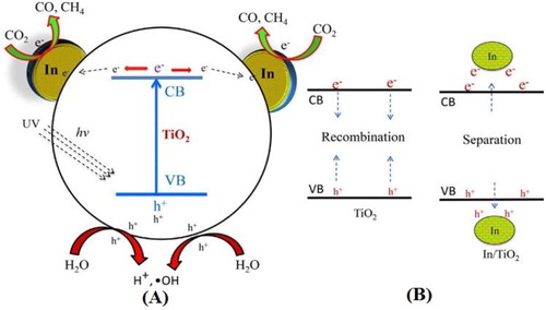 Figure 5. Schematic illustration for the possible reaction mechanism of photocatalytic CO2 reduction with H2O: (A) photocatalytic CO2 conversion and redox reactions over In-doped TiO2 and (B) photogenerated charge carrier’s recombination and separation. Adapted from reference ( Citation31) with permission. Copyright 2015, Elsevier Ltd.