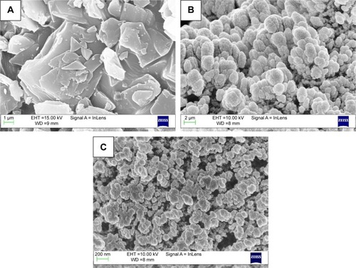 Figure 1 SEM micrographs.Notes: SEM micrographs of (A) carvedilol coarse powder, (B) microsuspensions, and (C) nanosuspensions.Abbreviations: EHT, extra high tension; SEM, scanning electron microscopy; WD, working distance.