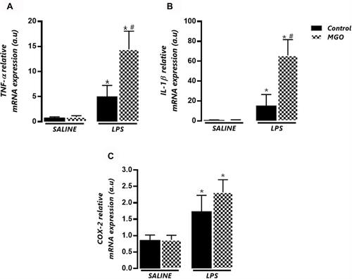 Figure 4 Effects of methylglyoxal (MGO) on the mRNA expressions of TNF-α (A), IL-1β (B) and cyclooxygenase-2 (COX-2; C) in lung tissues of lipopolysaccharide (LPS)-exposed mice. The mRNA expression levels of TNF-α, IL-1β and COX-2 were evaluated at 6 h following LPS exposure (or instillation with saline). Each gene was normalized to 18 S rRNA expression levels, and the values are expressed in arbitrary units (a.u). Data are means ± SEM. *P < 0.05 compared with control group; #P < 0.05 compared with LPS in control group.