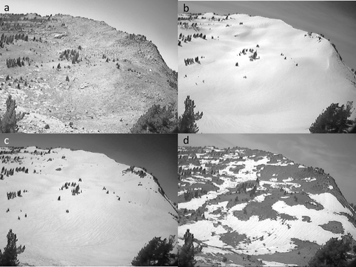 Figure 4 Images of the fieldsite throughout the 2007–2008 season, taken from the camera overlooking the fieldsite. (a) Fieldsite without snow, 9 August 2008. (b) Near time of maximum snow depth, 11 March 2008. (c) After melt has begun, 16 May 2008. (d) A few days before final snowmelt, 30 June 2008.