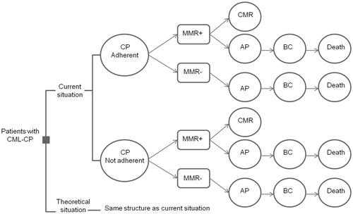 Figure 1. Structure of the model and its steps. CP: chronic phase; AP: accelerated phase; BC: blast crisis; CMR: complete molecular response; MMR+: major molecular response (on 18 months in model for patient adherence, and 12 months in model for guideline adherence); MMR−: no major molecular response (on 18 months in model for patient adherence, and 12 months in model for guideline adherence).