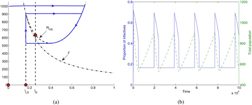 Figure 3. (a) Phase plane diagram showing the nullclines (dashed curves), switching boundary Γ (dash-dotted curve), as well as one solution along the hysteresis loop, for the system with incidence function Equation(16). Parameters are indicated in the text. (b) A solution along the hysteresis loop in the case of Figure 3(a). The left vertical axis shows the proportion of infectives in the population, corresponding to the solid curve, while the right vertical axis shows the total population, corresponding to the dashed curve.