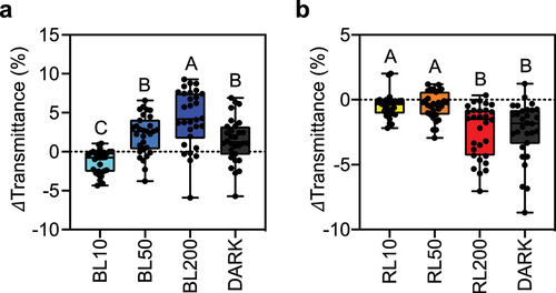 Figure 3. Comparison of blue- and red-light responses (a) Blue light (BL) – dependent changes in leaf transmittance. (b) Changes in light transmittance in red light (RL) – irradiated leaves. Leaf discs dissected from dark-acclimated F. vesca leaves were irradiated with BL or RL at 10, 50, and 200 µmol photons m−2 s−1 to study the effects of light sources on chloroplast photorelocation within the mesophyll cells of F. vesca leaves. Following strong light irradiation at 200 µmol photons m−2 s−1, the leaf discs were transferred to a dark chamber and incubated for 24 h before measuring light transmittance using a microplate reader. Thirty experimental data points from four biologically independent experiments (n = 32) are shown as boxplots. Each dot represents an experimental value. Upper and lower bars in the boxplots indicate the maximum and minimum values, respectively. Different letters indicate significant differences in mean light transmittance values among treatment groups, as analyzed by one-way ANOVA with Tukey’s HSD test at p = 0.05.