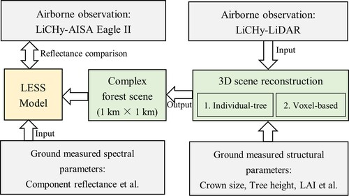 Figure 13. Flowchart of a case study of large-scale canopy reflectance simulation using LESS for the evaluation of the reconstructed 3D scenes based on FOREST dataset.