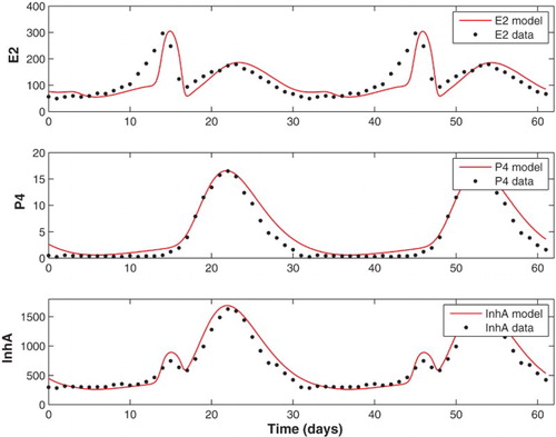 Figure 10. The data of McLachlan et al. [Citation23] for the ovarian hormones are compared to simulations of Equations (Equation9(9) ddtRcF=b⋅FSH+c1FSHpKmFp+FSHpRcF−c2LHαRcF,(9) )–(Equation20(20) InhA=h0+h1DomF+h2Lut2+h3Lut3+h4Lut4.(20) ) with parameters of Table 4. The FSH input function (Equation21(21) FSH=82.5+190e−(t−8)210+180e−(t−0.3)20.4+400e−(t−15.2)23−20e−(t−24)215.(21) ) with three distinct rises is used.