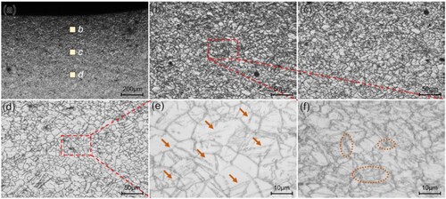 Figure 6. Microstructure in (a) the rectangular box in Figure 5(a) and the typical microstructure in (b) zone-b, (c) zone-c and (d) zone-d in Figure6a and the magnified microstructure of (e) Figure 6(d) and (f) Figure 6(b).