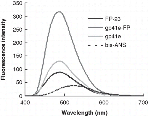 Figure 2.  Bis-ANS emission spectra upon addition of gp41e-FP, gp41e or FP-23. Background fluorescence due to the medium has been subtracted. The intensities enhanced by the addition of the peptides were caused by exposure of the hydrophobic binding sites of the peptides and gp41e-FP has the strongest effect. This indicated the prominent contribution of FP region to the hydrophobic surface of gp41 ectodomain.