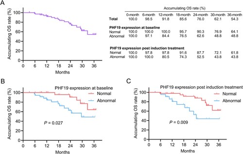 Figure 4. Abnormal PHF19 expression at baseline and post induction treatment were associated with shorter OS in MM patients. The accumulating OS rates (A). Linkage of abnormal PHF19 expression at baseline (B) and post induction treatment (C) with OS.