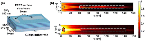 Figure 11. (a) SiO2/Ta2O5 multilayer with plasma-deposited polystyrene (PPST) refractive structures on the surface. (b) Calculated (top) and measured (bottom) intensity distribution of a BSW injected into a polymeric ridge waveguide (contour, dashed white line) by means of a planar lens. Reproduced with permission from [Citation50].