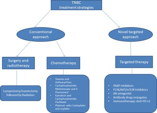 Figure 1 Summarized conventional and novel targeted approach to treat triple-negative breast cancer.