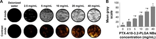 Figure 7 NBs in US imaging in vitro.Notes: (A) Samples with different concentrations of PTX-A10-3.2-PLGA NBs (2.5, 5, 10, 20, and 40 mg/mL), Brightness mode and contrast mode. (B) Relationship between the mean gray value and the concentration. The deionized water group compared with other groups, *P<0.05; PTX-A10-3.2-PLGA NBs (40 mg/mL) group compared with the other groups, #P<0.05.Abbreviations: NBs, nanobubbles; PLGA, poly(lactide-co-glycolic acid); PTX, paclitaxel; US, ultrasound.