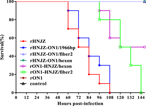 Fig. 3 Survival rates of chickens after inoculation with different FAdV-4 viruses.Seven groups, each consisting of 10 3-week-old SPF chickens, were infected orally with 0.2 ml of 105 TCID50 of each rescued FAdV-4 strain. One group of 10 chickens was left uninfected as control. The infected and control groups were separately housed in different negative-pressure isolators and monitored daily for 14 days, and the morbidity and mortality of animals were recorded