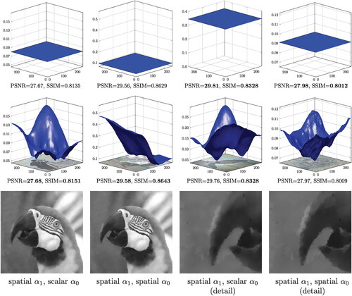 Figure 8. Experiments with optimizing over a spatially varying α0. Top row: the automatically computed scalar parameters α0, that correspond to the images of the last row of Figure 5. Middle row: the automatically computed spatially varying parameters α0, where α1 has been kept fixed (last row of Figure 7). The weight α0 is adapted to piecewise constant parts having there large values and hence promoting TV like behavior, see for instance the parrot image at the last row. On the contrary α0 has low values in piecewise smooth parts promoting a TGV like behavior reducing the staircasing.