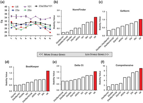 Figure 5. Validation of candidate genes from small RNA sequencing of nine samples, from five unique cardiosphere-derived cell (CDC) donors and a fibroblast line. Four conditions were variable across each sample, including oxygen concentration (2%, 5% and 20%), days of conditioning (5 and 15 days), three different passages (3–5) and a fibroblast control. (a) The Cq values for each sample were plotted to show the fluctuation of expression across donors and conditions.Data were analysed using (b) NormFinder, (c) GeNorm, (d) BestKeeper, and (e) Delta Ct. (f) The weighted geometric mean of each of these samples was taken to provide a consolidated list of the most stable genes.