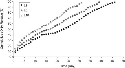 Figure 3.  Effect of initial plasmid amount on release behavior of CS-NPs.