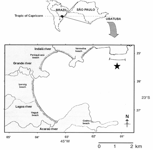 Figure 1. Map of the Ubatuba Bay with indication of the sampled transect (☆) in this study.