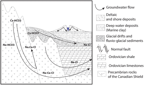 Figure 7. Generalized cross section showing the different salinization pathways occurring in the Saguenay-Lac-Saint-Jean region. Bedrock groundwater evolves from Ca,Na-HCO3 in unconfined environments to Ca,Na-Cl in rock-dominated environments due to interactions with basement fluids (water-rock interactions) along the graben fault system (groundwater flow line). The groundwater in the granular aquifers evolves from the recharge groundwater (Ca-HCO3) by Ca2+water-Na+mineral ion exchange process in a confined environment (Na-HCO3) and through possible mixing with the Laflamme seawater end-member (Na-Cl). This latter evolution might also be observed in bedrock aquifers where confining conditions prevail (Modified from Walter et al. Citation2017).