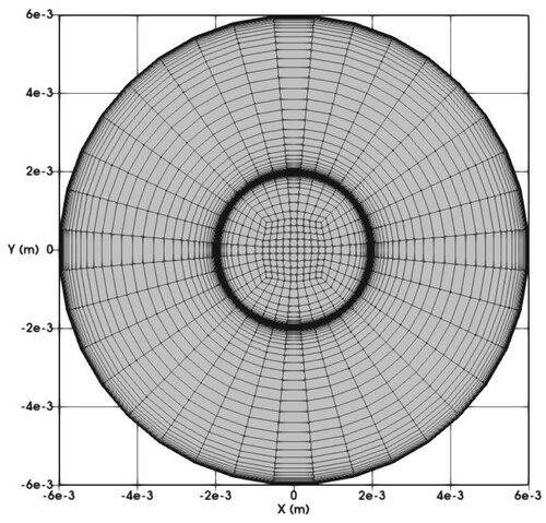 Figure 11. Cross-sectional view of the grid near the outlet.