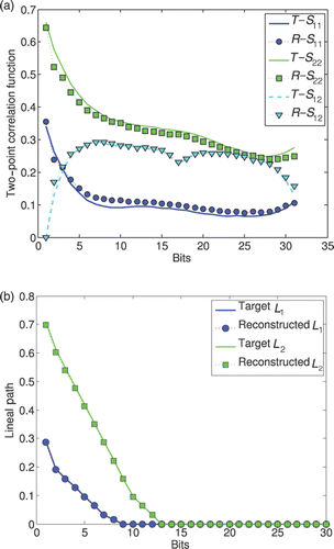 Figure 5. Correlation functions of the porous material. (a) two-point correlation functions of the target domain and the reconstructed material for the voids, , the matrix, , and voids-matrix, , respectively. (b) lineal path correlation functions of the target domain and the reconstructed material for the voids, L(1), and the matrix, L(2).