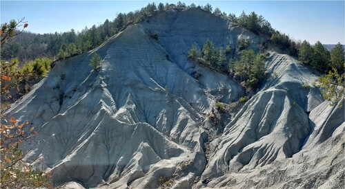 Figure 2. Typical badland landscape in Istria.