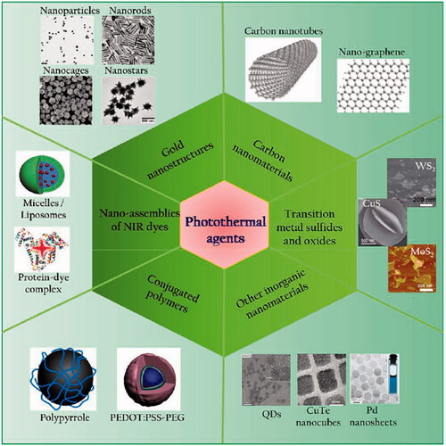 Figure 7. A scheme showing commonly explored photothermal agents. Copyright from Elsevier (Ref [Citation37]).