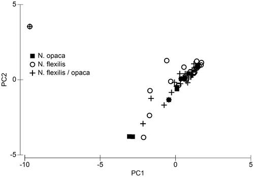 Figure 10. Principal component analysis of a subset of water chemistry data, containing only data from sites with occurrence of Nitella opaca, Nitella flexilis and sterile specimen which belong either to N. flexilis or N. opaca (N. flexilis / opaca). For details of the PCA see Supplementary Table 3.
