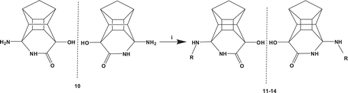 Scheme 2.  Synthesis of the PCU-lactam peptide and peptoid analogues. i = HATU, DIPEA, DMF, RT, R = peptides or peptoids.