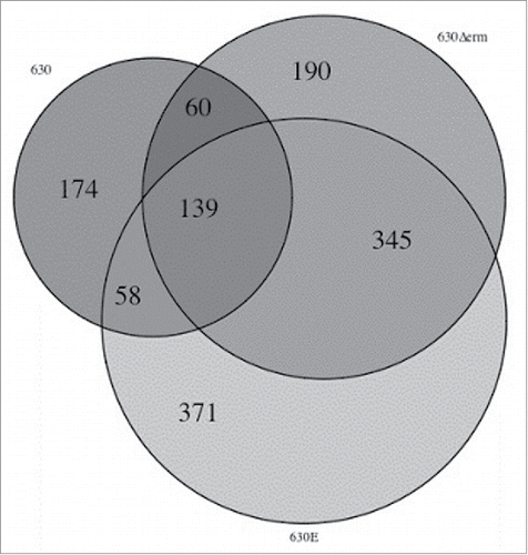 Figure 7. Venn Diagram representing differentially expressed genes in the 3 different strains. The diagram summarizes the output from the RNAseq data, comparing strains 630, 630Δerm and 630E. It depicts all differentially expressed genes and shows how many genes are differentially expressed in all strains, in 2 of the strains or are unique to just one strain.