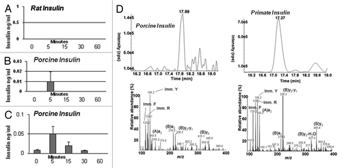 Figure 6. (A-C) Levels of insulin in transplanted STZ diabetic Lewis rats (n = 4) measured during intravenous glucose tolerance testing. Data are shown and mean ± SE. D Left: Chromatogram (top) and product ion mass spectrum (bottom) of porcine insulin (precursor ion [M+5H]5+m/z 1156.3) extracted from 2 ml plasma obtained 5 min after IV glucose administration to a STZ-diabetic transplanted rhesus macaque. The retention time and diagnostic product ions derived from the 5-fold charged precursor ion unambiguously identify porcine insulin. (D) Right: chromatogram (top) and product ion mass spectrum (bottom) of human/macaque insulin (precursor ion [M+5H]5+m/z 1162.3) extracted from 1 ml of non-diabetic rhesus macaque plasma. The retention time and diagnostic product ions derived from the 5-fold charged precursor ion unambiguously identify human/macaque insulin. Reproduced with permission.Citation13,Citation15