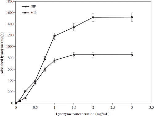 Figure 6. Effect of concentration of lysozyme on the lysozyme adsorption; incubation time: 2 h; pH: 10.0; temperature: 25°C.