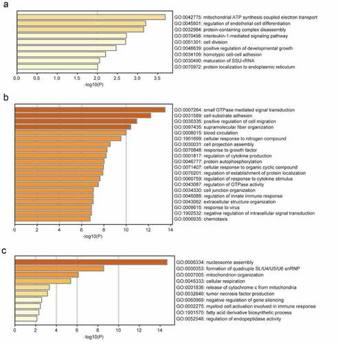 Figure 2. GO functional analysis of the profiles. GO biological processes of genes in brown module (a), turquoise module (b), yellow module (c)
