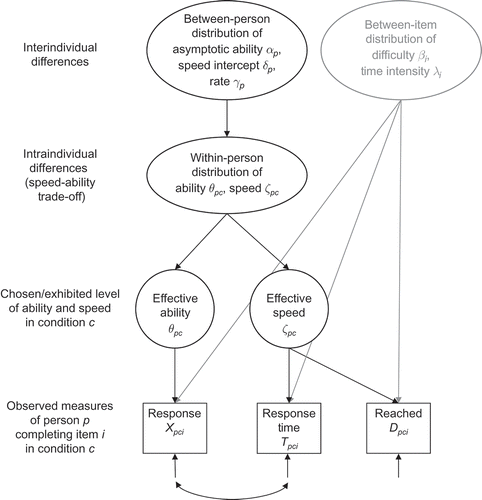 FIGURE 2 Conceptual framework on the measurement of ability and speed. Individual differences in item responses and response times depend on both between-person differences in speed-ability functions (represented by speed intercept , rate , and maximum ability ) and the speed-ability trade-off within the person (represented by effective speed and ability ).