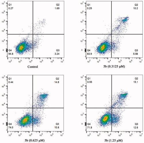 Figure 5. Flow cytometric analysis of apoptotic cells after treatment of MCF-7 cells with different concentrations of 5b (0, 0.3125, 0.625, and 1.25 μM).
