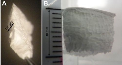 Figure 1 Macroscopic aspect of thick poly(ε-caprolactone) electrospun nanofibrous membrane.Notes: 700 μm thickness (A) and 1 cm thickness (B).