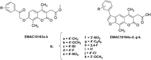 Figure 2. Structure and substitution pattern of 2H-chromene EMAC10163a-k and 7H-furo-chromene EMAC10164a-d, g-k.
