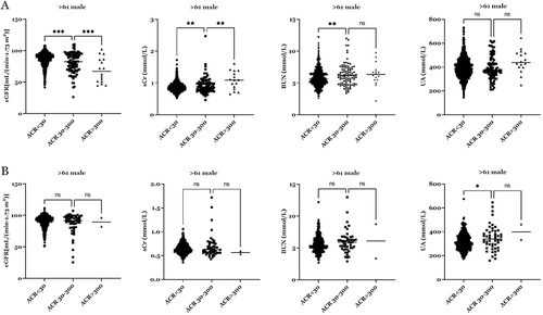 Figure 5 Comparison of CKD-related indices among males (A) and females (B) with different urinary ACR at >61. *p<0.05, **p<0.01, ***p<0.001.