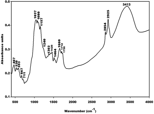 Figure 5. Infrared spectra of rice husk (RH).