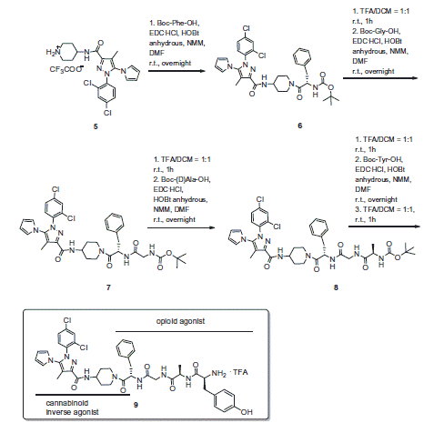 Scheme 2. Synthesis of bivalent compound 9.