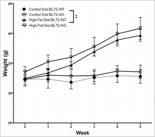 Figure 1. WT and BLT2 knockout mice show a similar trend in weight gain in response to control or high fat diet. Weekly weight measurements in non-sedated animals for 5 weeks (mean ± SEM), n = 5 per group **p < 0.01 2-Way ANOVA.