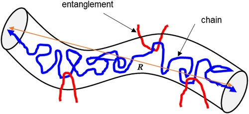 Figure 11. Reptation model for entangled polymer chains.