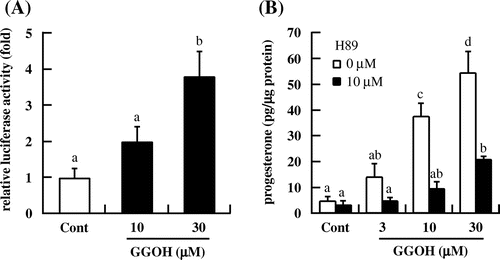 Fig. 3. GGOH increases PKA activity in I-10 cells. (A) Cells were transfected with a CRE-inducible reporter gene and then treated with indicated concentrations of GGOH for 3 h. Reporter activity in cell lysates was measured with the luciferase assay. (B) I-10 cells were treated with H89 and GGOH for 3 h, and progesterone levels in the culture medium were measured by EIA.